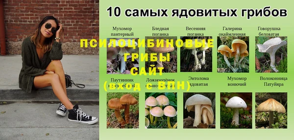 дмт Липки