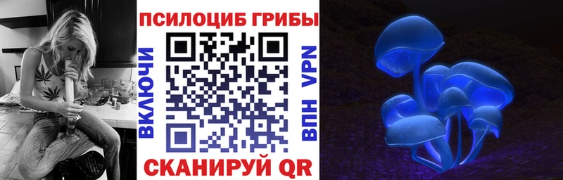 Купить закладки  Новоаннинский  Галлюциногенные грибы мицелий 